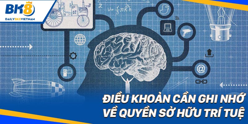 Điều khoản cần ghi nhớ về quyền sở hữu trí tuệ